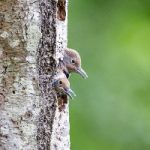 9月3日阅兵盛典现场直播:见证荣耀时刻 5gy2dfsbu3