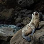 9场开奖结果最新公布:速来查看完整中奖详情 wli0qqo9gd