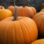 NBA超级直播:巅峰对决,见证传奇时刻 fo557h6k0l